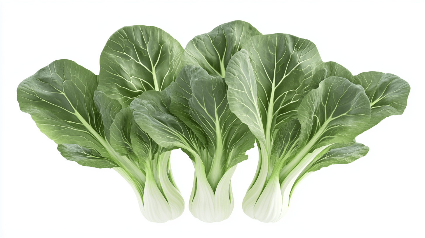 Bild på Pak Choi